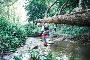 BIB: 
                            <button type="button" onclick="openModal(25433932)" class="btn btn-primary btn-sm float-right btn-popup" data-toggle="modal" data-target=".modal-high-quality">
                        <i class="fas fa-shopping-cart"></i> Add to Cart
                    </button>
                                            <button type="button" onclick="isThisMe(25433932, true)" class="btn btn-success btn-sm float-right btn-popup btn-isme hidden" data-toggle="tooltip" data-placement="bottom" title="นี่คือรูปของคุณใช่ไหม คลิกที่นี่เพื่อเอาเข้าอัลบั้ม">
                        <i class="fas fa-plus"></i> Add to album
                    </button>
                    <button type="button" onclick="isThisMe(25433932, false)" class="btn btn-warning btn-sm float-right btn-popup btn-isnotme hidden">
                        <i class="fas fa-ban"></i> Remove from album
                    </button>